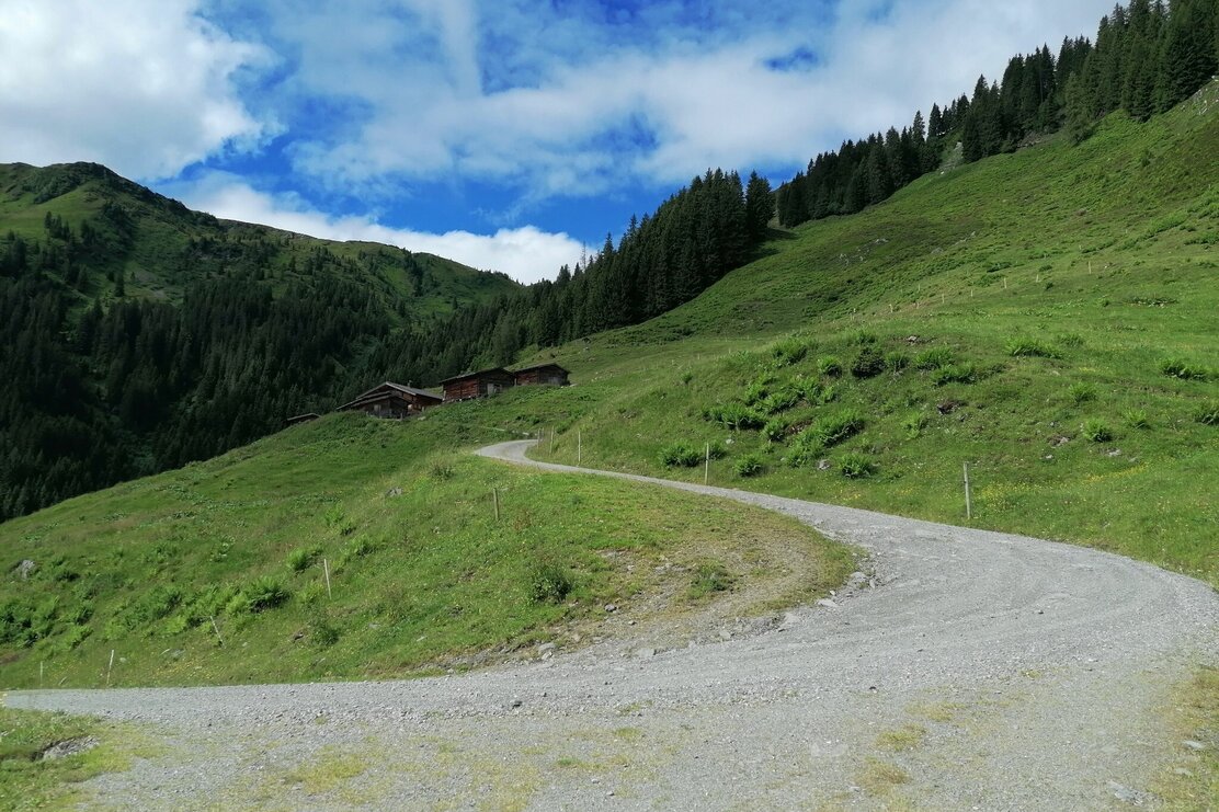 Wildschönau Tourismus Talsalmen Straße Gewi.jpg