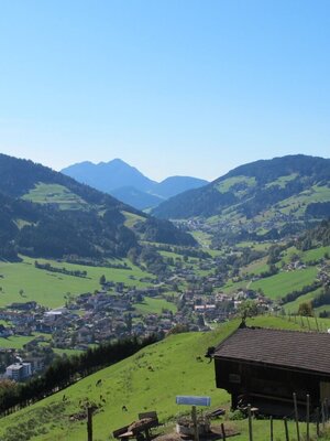 Aussicht Foisching Wildgehege Niederau. Rechte Wildschönau Tourismus  (14).JPG | © Wildschönau Tourismus