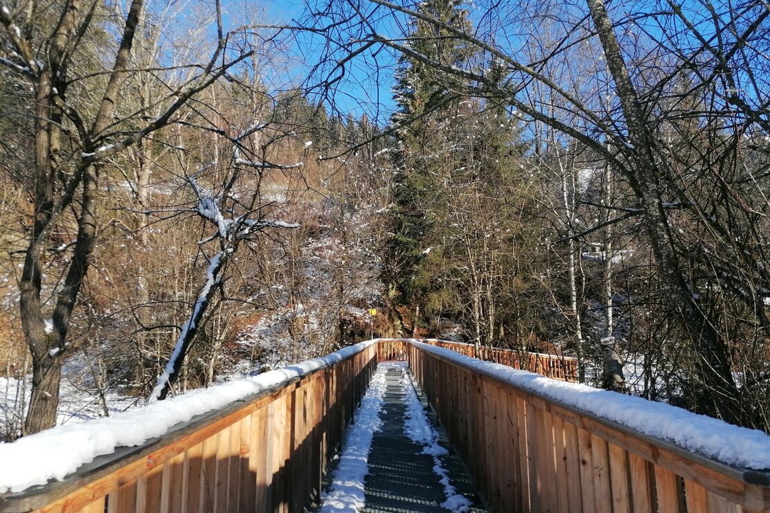 Wildschönau Auffach Weg des Vertrauens Brücke.jpg