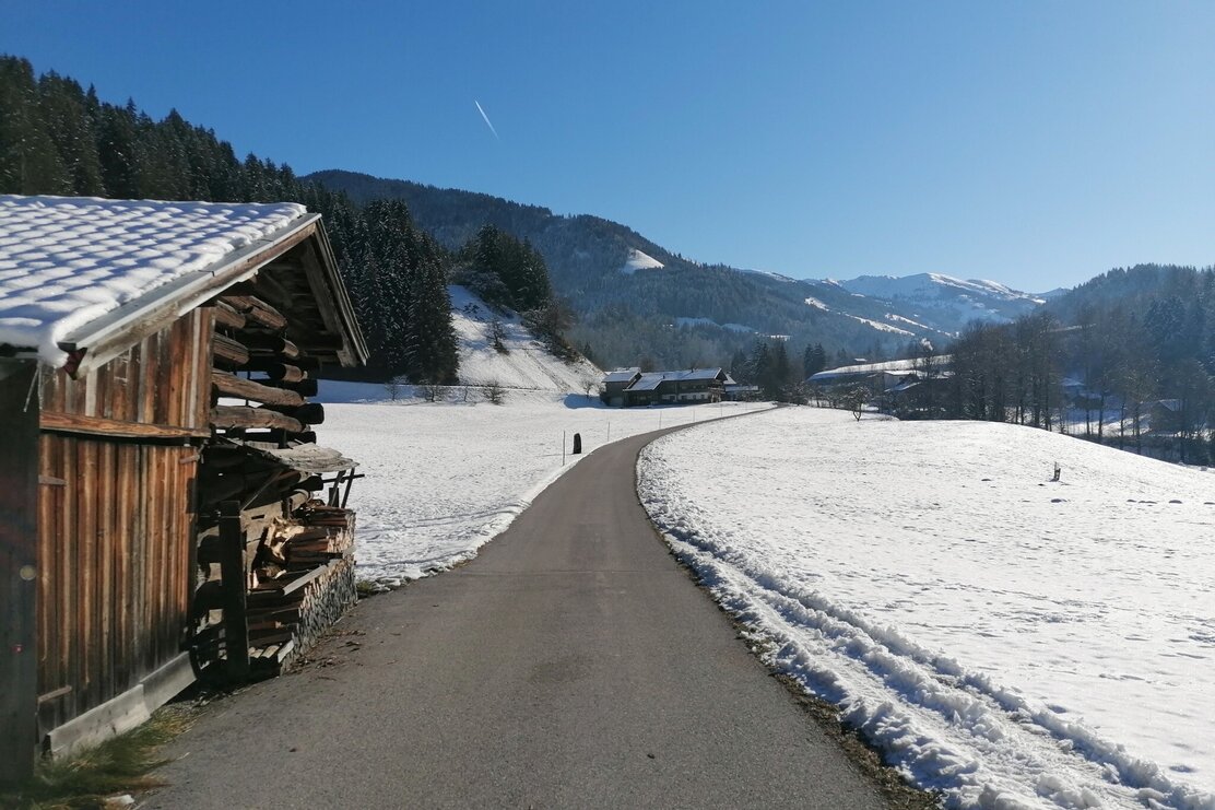 Wildschönau Auffach Weg des Vertrauens Straße.jpg