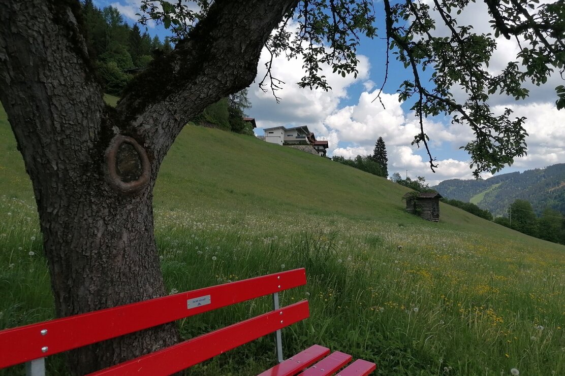 Wildschschönau Tourismus Stockerweg Gewi.jpg