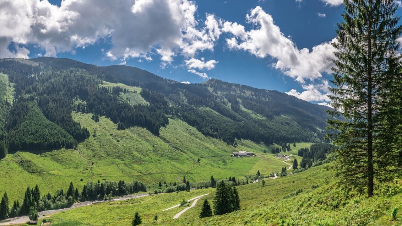 Auffach-Schönanger Alm | Wildschönau