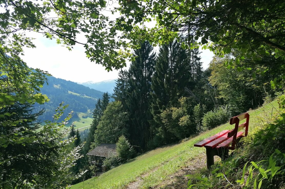 Wildschönau Tourismus Stocker Bankerl Gewi.jpg