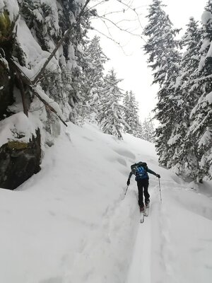 Wildschönau Auffach Gressenstein Kastensteig.jpg | © Wildschönau Tourismus