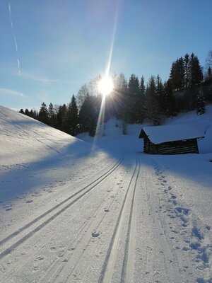 Langlauf Grafenweg Penning (2).jpg | © Wildschönau Tourismus