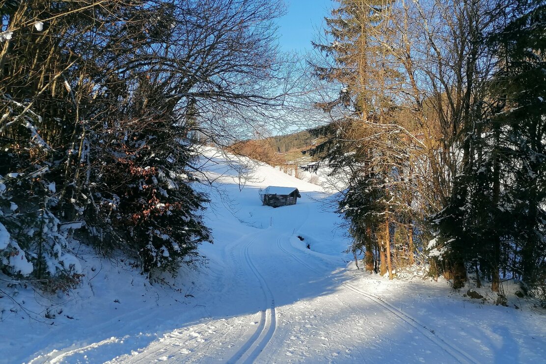 Langlauf Grafenweg Penning.jpg | © Wildschönau Tourismus