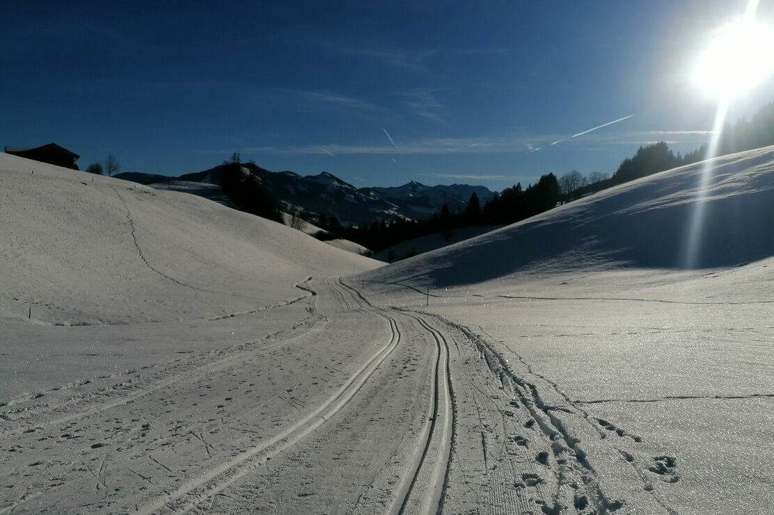 Langlauf Grafenweg Penning (3).jpg | © Wildschönau Tourismus