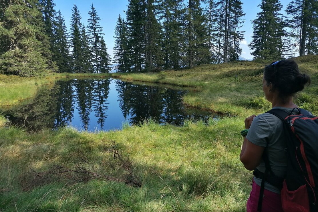 Wildschönau Tourismus Horler Stiege Moorlacken Gewi.jpg