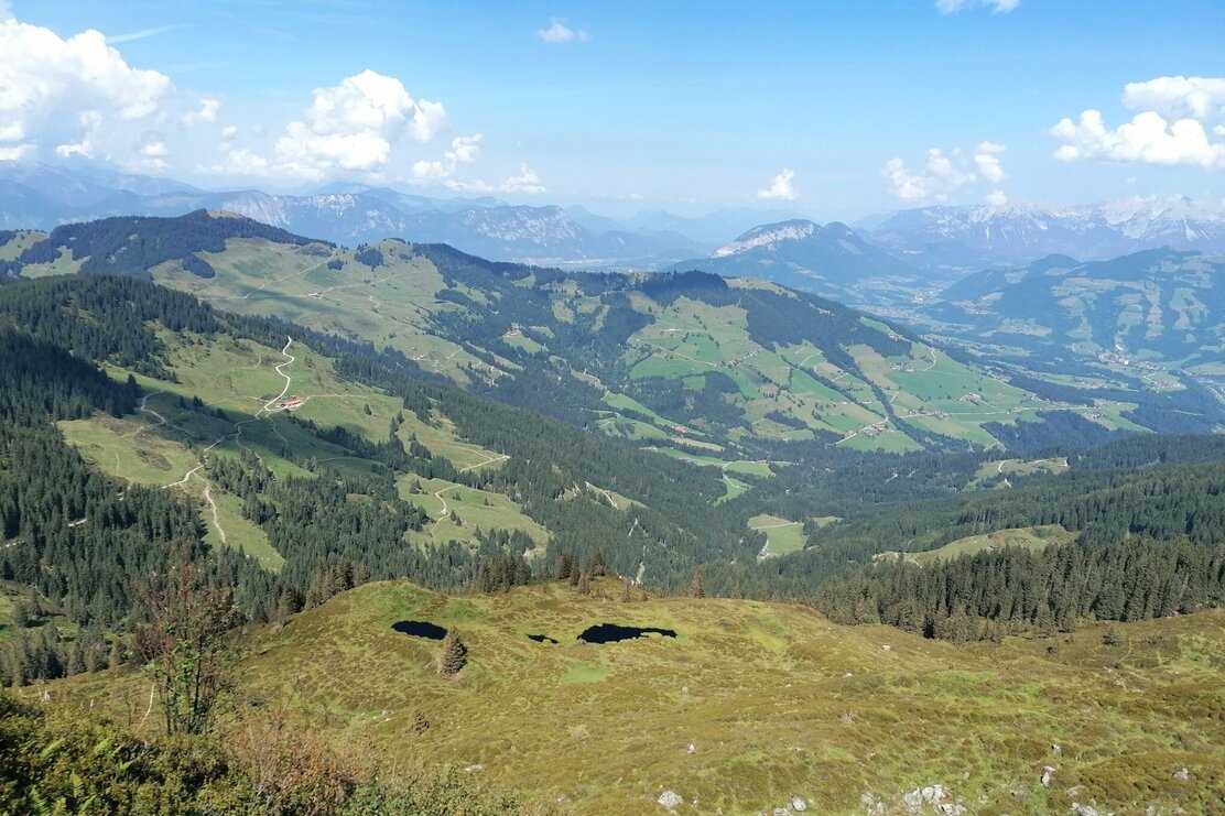 Wildschönau Tourismus Aussicht Rg Norden Feldalphorn Gewi.jpg