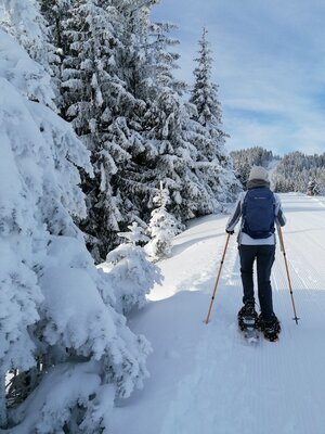 Wildschönau Holzalm Kasalm Wald | © Wildschönau Tourismus