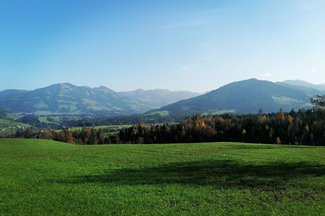 Wildschönau Tourismus Grafenweg 2 Gewi.jpg