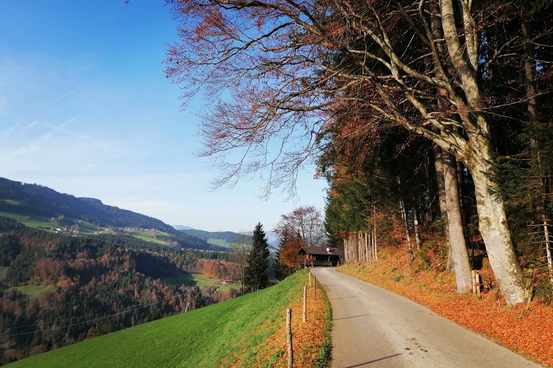 Wildschönau Tourismus Glantersberg Straße Gewi.jpg