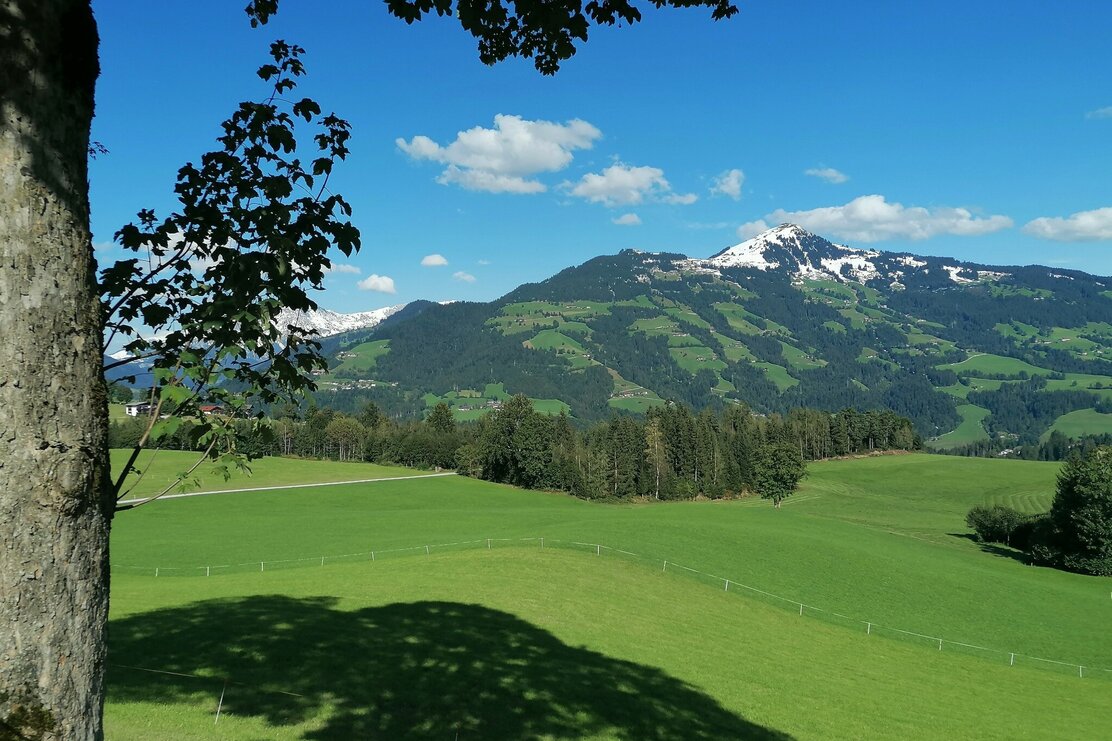 Wildschönau Tourismus Aussicht Penning Gewi.jpg