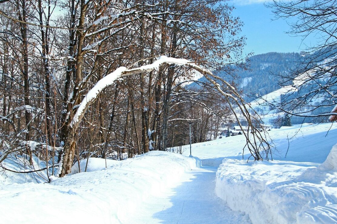 Franz Artmann- Franziskusweg.JPG