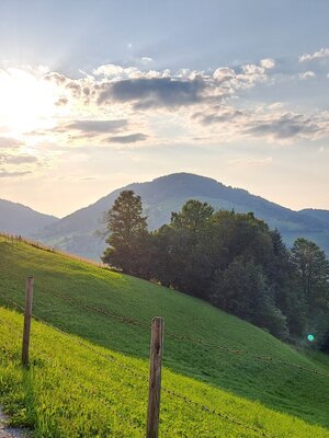 Wildschönau Tourismus Waldrandweg Niederau 1.jpg | © Wildschönau Tourismus