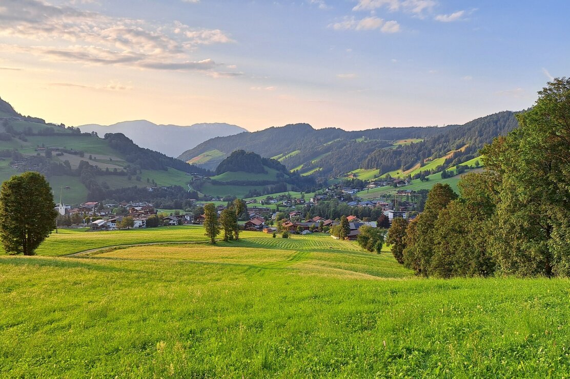 Wildschönau Tourismus Waldrandweg Niederau Aussicht Dorf.jpg