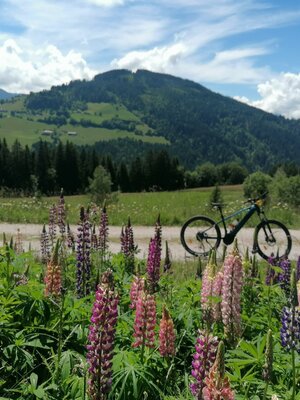 Wildschönau MTB Möslalm | © Wildschönau Tourismus