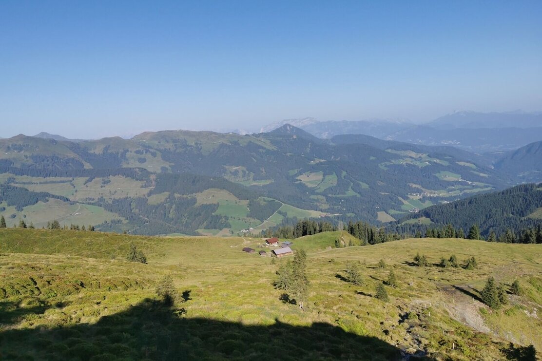 Oberau-Feldalphorn | Wildschönau