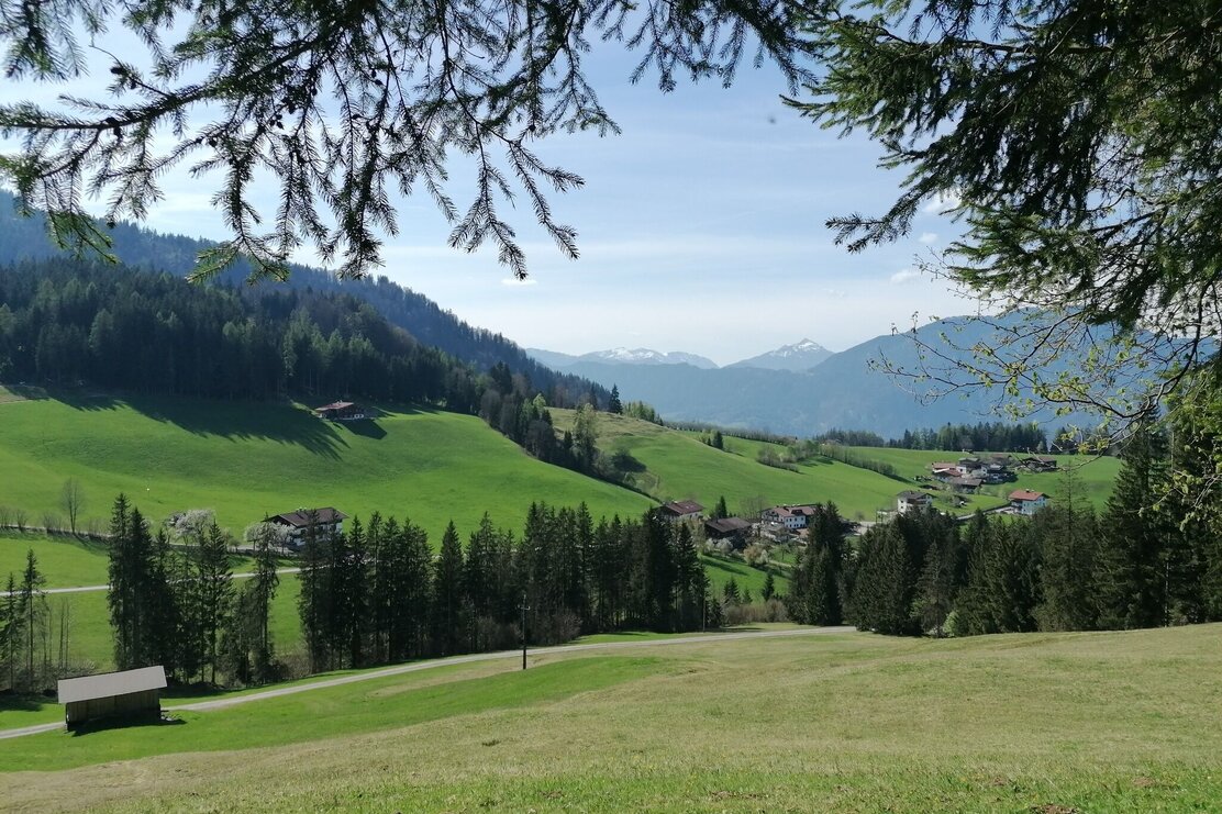 Wildschönau Tourismus Zauberwinkl Ausblick Gewi.jpg | © GW