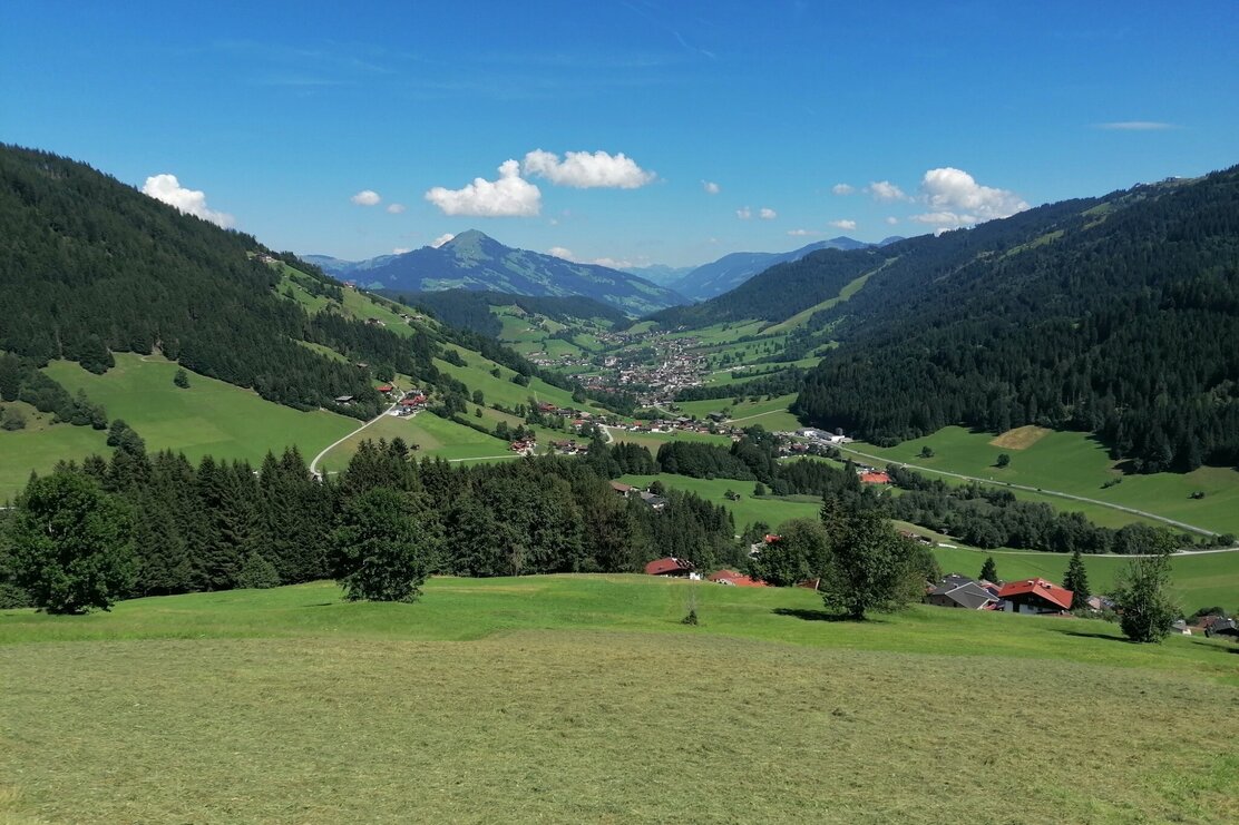 Wildschönau Tourismus Loya Aussicht Gewi.jpg