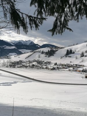 Wildschönau Oberau Waldrandweg Aussicht.jpg | © Wildschönau Tourismus