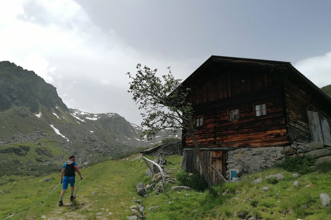 Wildschönau Tourismus Gressenstein Alm GeWi.jpg | © Wildschönau Tourismus