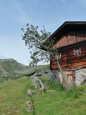 Wildschönau Gressensteinalm Sommer.jpg | © Wildschönau Tourismus