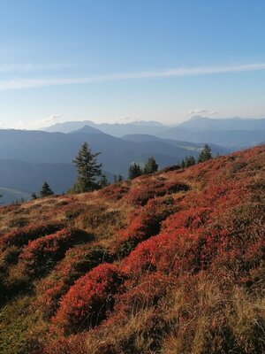 Wildschönau Auffach Breitegg Herbst.jpg | © Wildschönau Tourismus