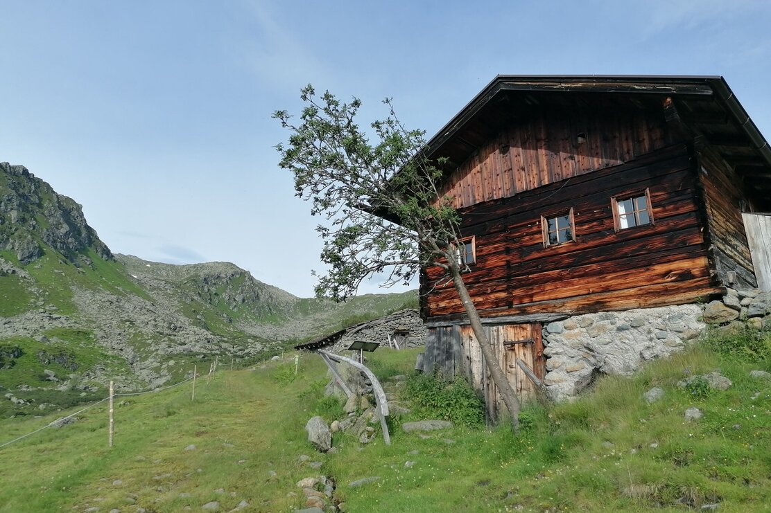 Wildschönau Tourismus Sonnjoch Gressensteinalm Gewi.jpg