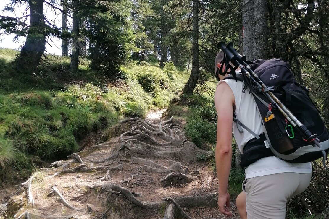 Wildschönau Tourismus Horler Stiege Wald Gewi.jpg