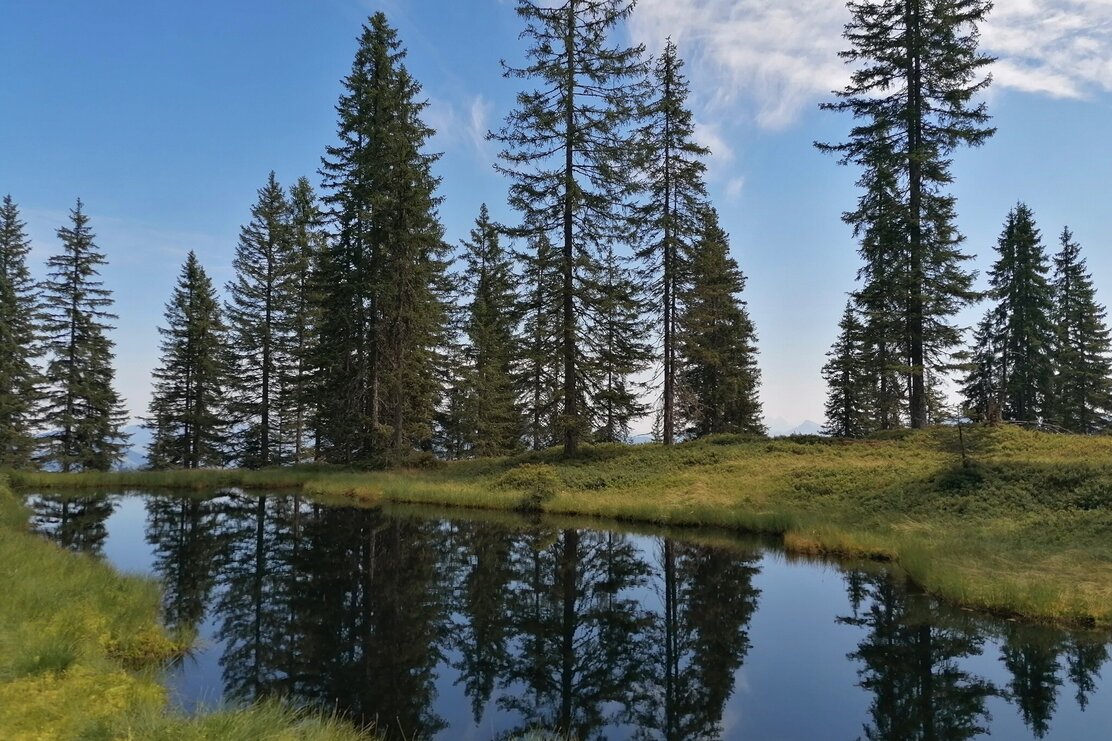 Wildschönau Tourismus Horler Stiege Moorsee Gewi.jpg