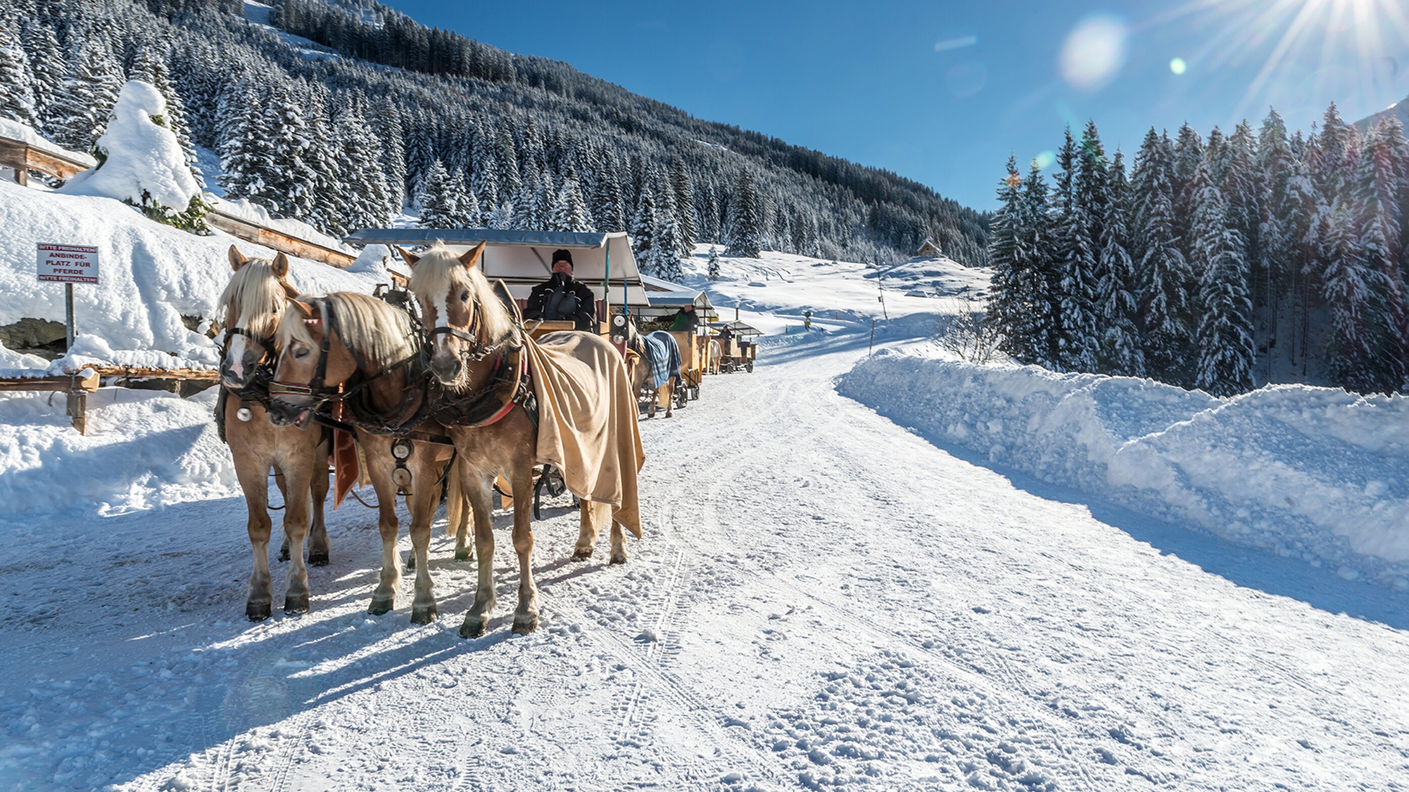 The unique valley in Tirol | Wildschönau | Skiing and hiking holidays