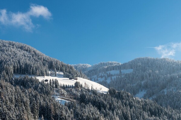 winter Wildschönau