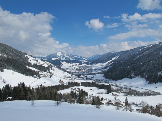 Winter Niederau. Blick vom Zwecklhof nach Niederau