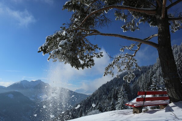 aussichtsbank bei der Achentalalm im Winter mit Bl