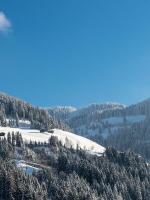 Winter Oberau Landschaft  + Kirche +  Wildschönau 