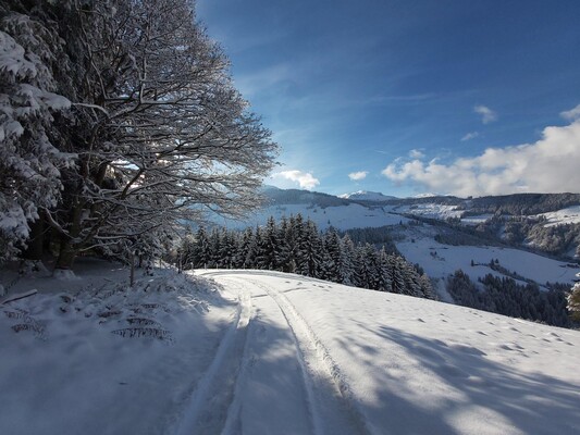 auf dem Weg zum NL - Weihnachten2020